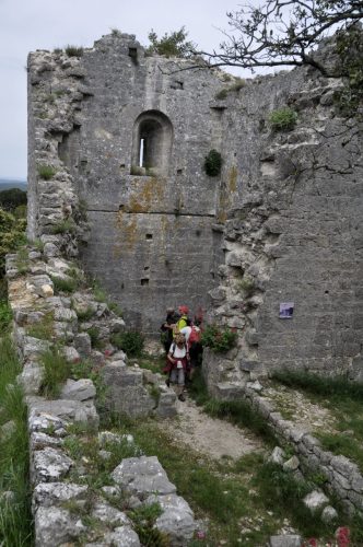 DSC7349