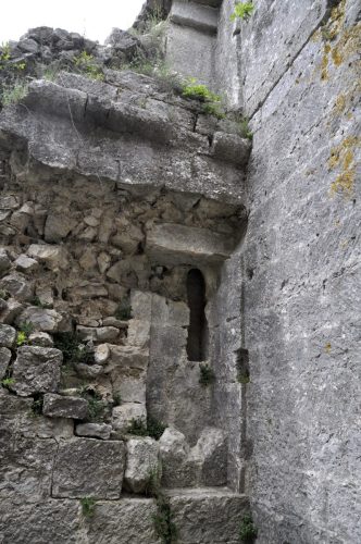 DSC7350