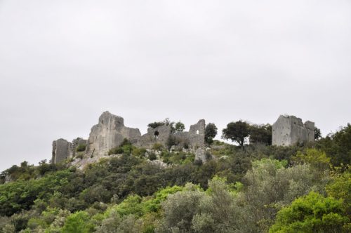 DSC7355