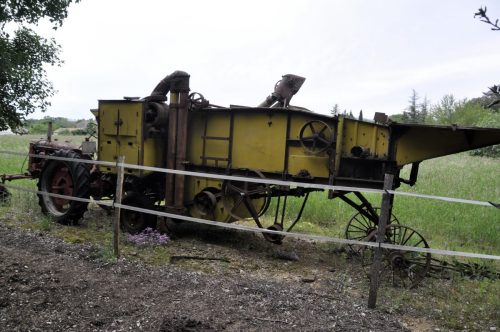 DSC7363