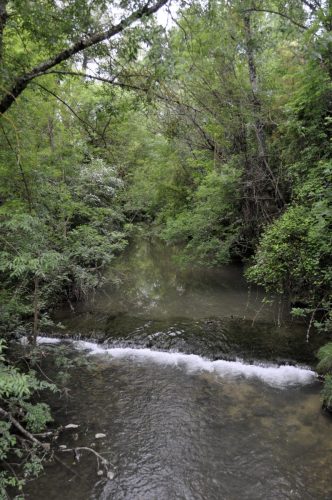 DSC7366