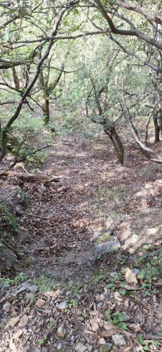 IMG-20250502-WA0033