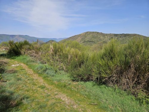 IMG-20250502-WA0093