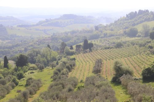 J3-San-Gemignano-et-Sienne-02