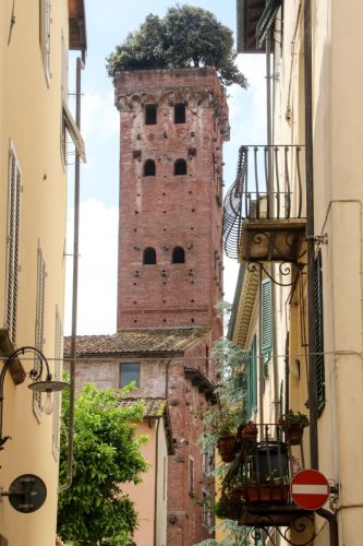 J4-Lucca-et-Pistoia-13