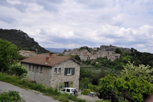 DSC7428