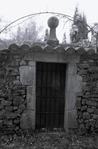 DSC7452