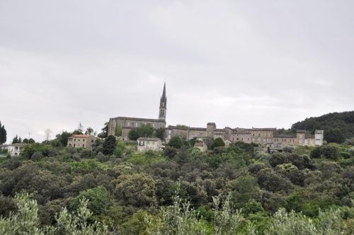 DSC7465