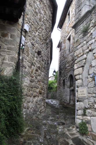 DSC7470