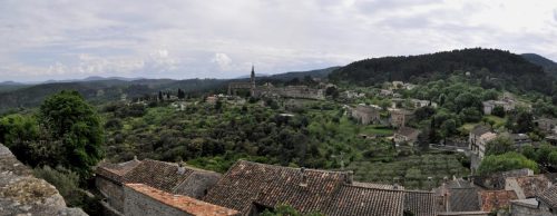 DSC7479