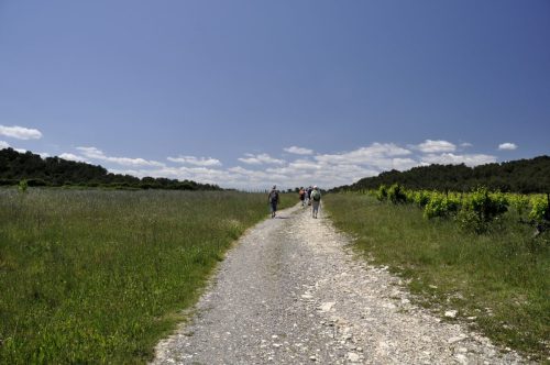 DSC7522