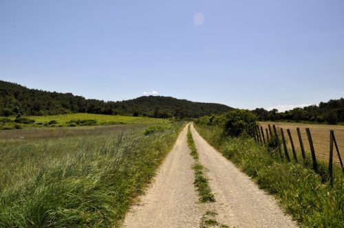 DSC7524