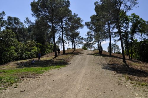 DSC7532