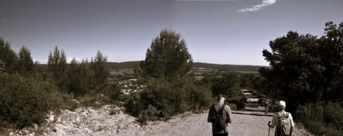 DSC7561
