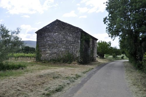 DSC7618
