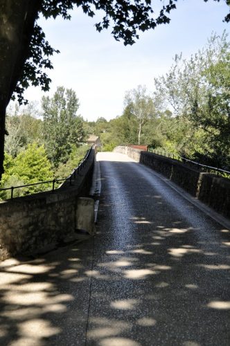 DSC7857