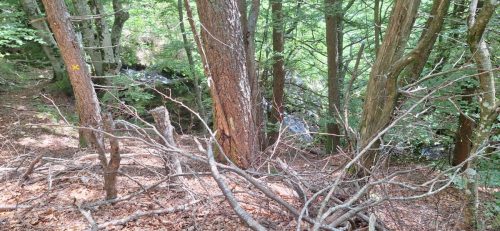IMG-20250606-WA0056