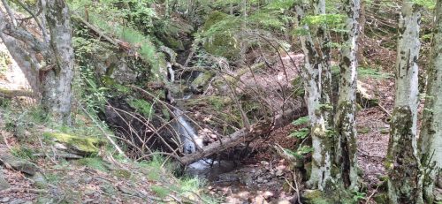 IMG-20250606-WA0058