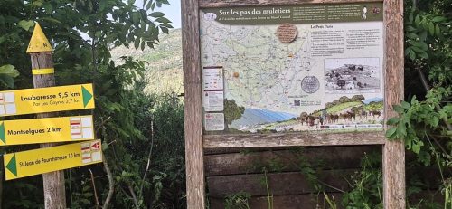 IMG-20250613-WA0062