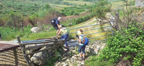 IMG-20250613-WA0072