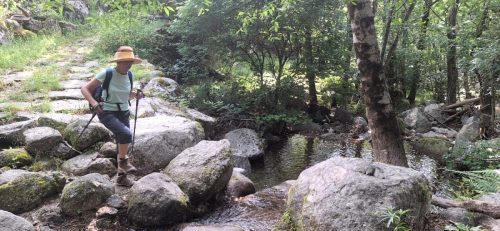 IMG-20250613-WA0110