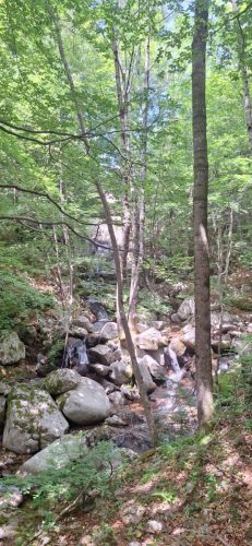 IMG-20250613-WA0129