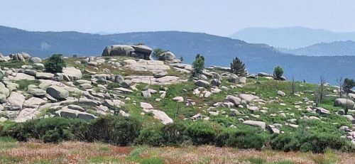 IMG-20250613-WA0138