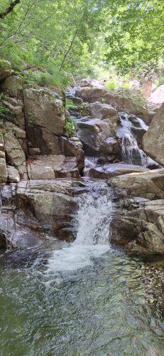 IMG-20250613-WA0140