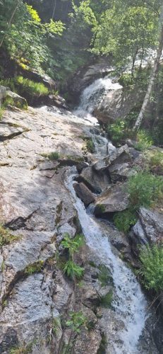 IMG-20250613-WA0159