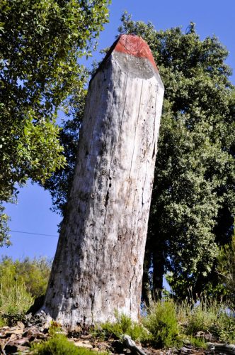 DSC8411