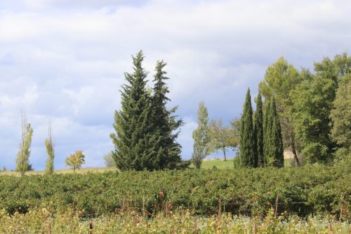 2025-09-26-Saint-Cezaire-de-Gauzignan-VISA-14
