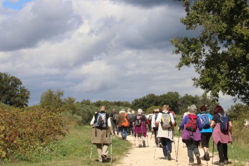 2025-09-26-Saint-Cezaire-de-Gauzignan-VISA-20