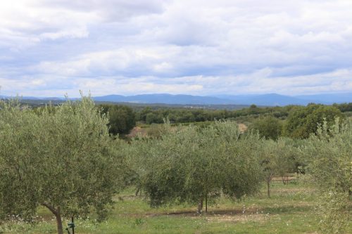 2025-09-26-Saint-Cezaire-de-Gauzignan-VISA-24