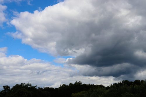 2025-09-26-Saint-Cezaire-de-Gauzignan-VISA-25