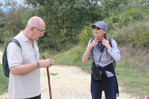 2025-09-26-Saint-Cezaire-de-Gauzignan-VISA-31