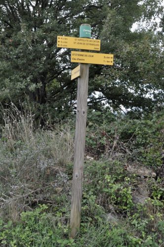 DSC8464