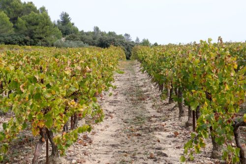 2025-10-03-Clarensac-Visa-2000-13