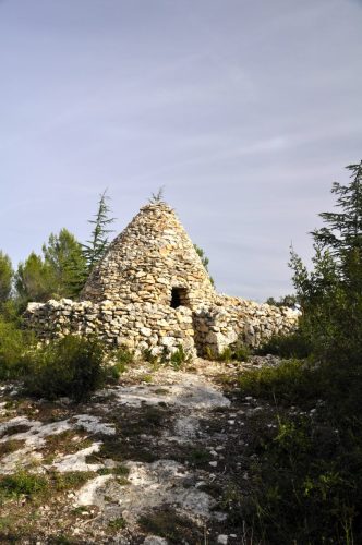 DSC8577