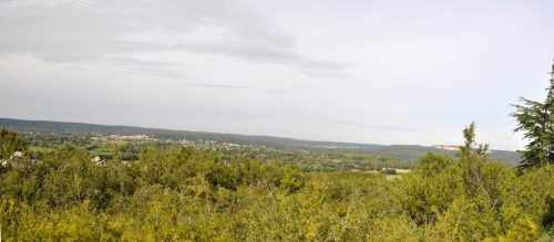 DSC8580