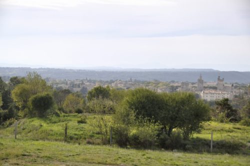 DSC8584