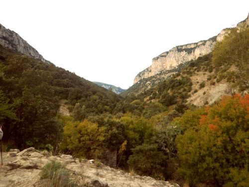 DSCN9747