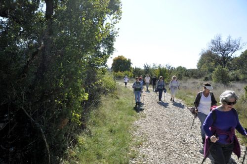 DSC8620