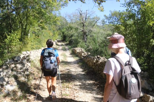 2025-10-10-Saint-Andre-de-Cruzieres-Visa-2000-13