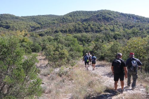 2025-10-10-Saint-Andre-de-Cruzieres-Visa-2000-17