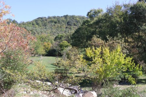 2025-10-10-Saint-Andre-de-Cruzieres-Visa-2000-19