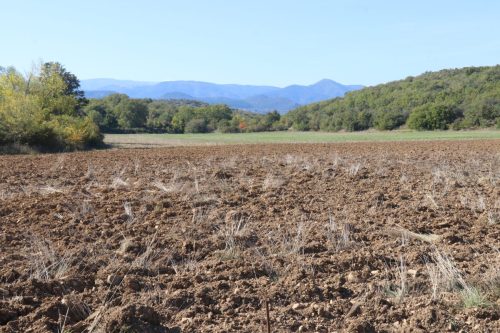 2025-10-10-Saint-Andre-de-Cruzieres-Visa-2000-42