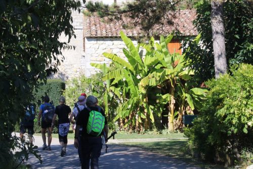 2025-10-10-Saint-Andre-de-Cruzieres-Visa-2000-43