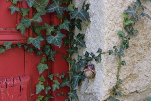 2025-10-10-Saint-Andre-de-Cruzieres-Visa-2000-45