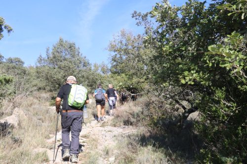 2025-10-10-Saint-Andre-de-Cruzieres-Visa-2000-55