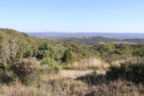 2025-10-10-Saint-Andre-de-Cruzieres-Visa-2000-58